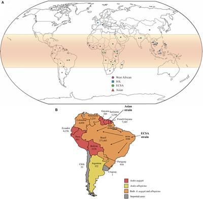 Chikungunya Virus: An Emergent Arbovirus to the South American Continent and a Continuous Threat to the World